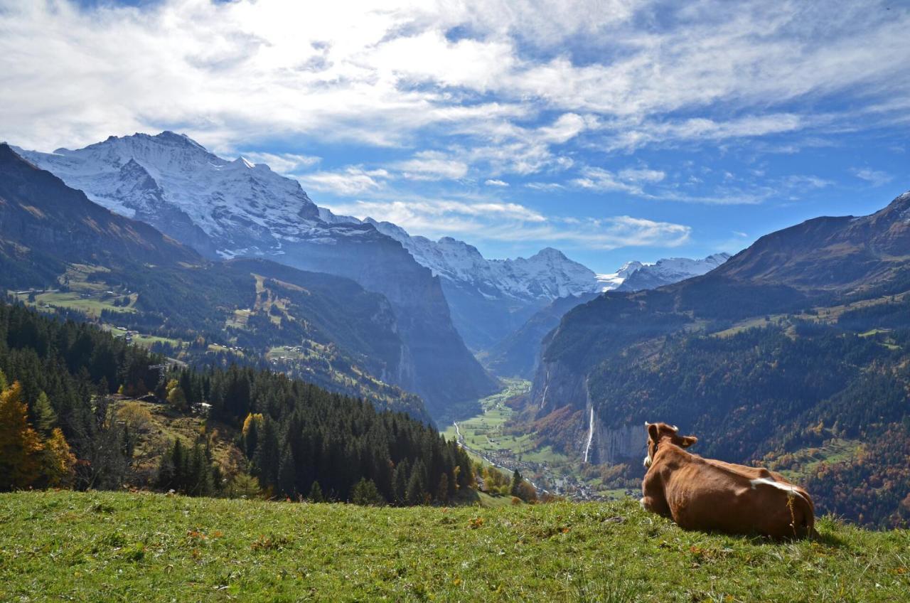 Hotel Victoria Lauberhorn Wengen, A Faern Collection Hotel Bagian luar foto